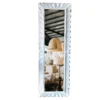 MIRROR-008